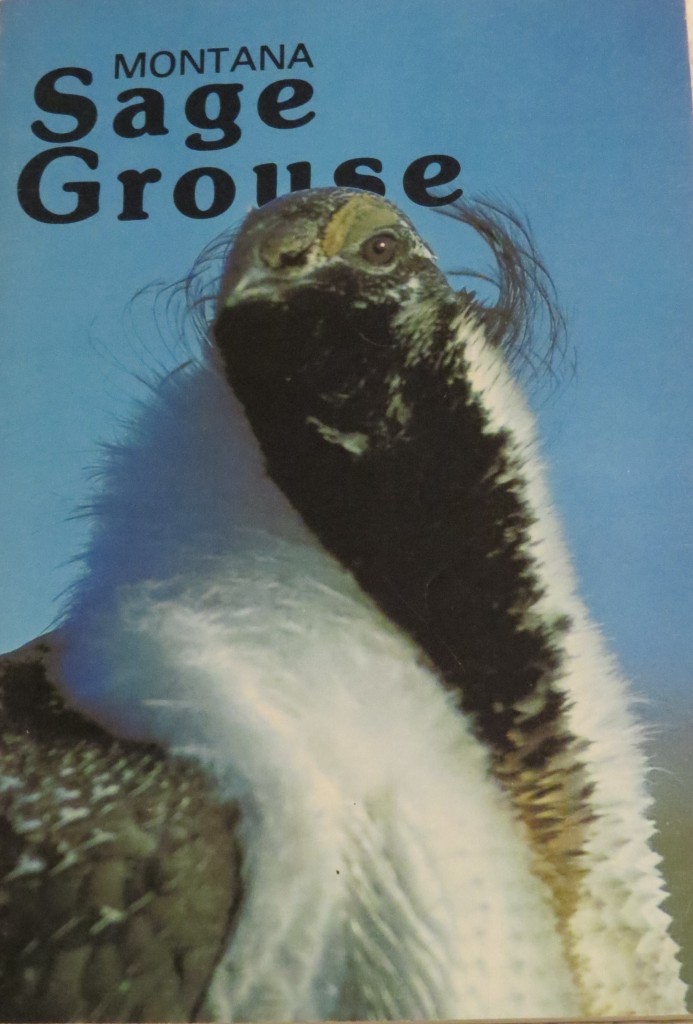 Montana Sage Grouse a bulletin for the Montana Department of Fish and Game written by Richard Wallestad