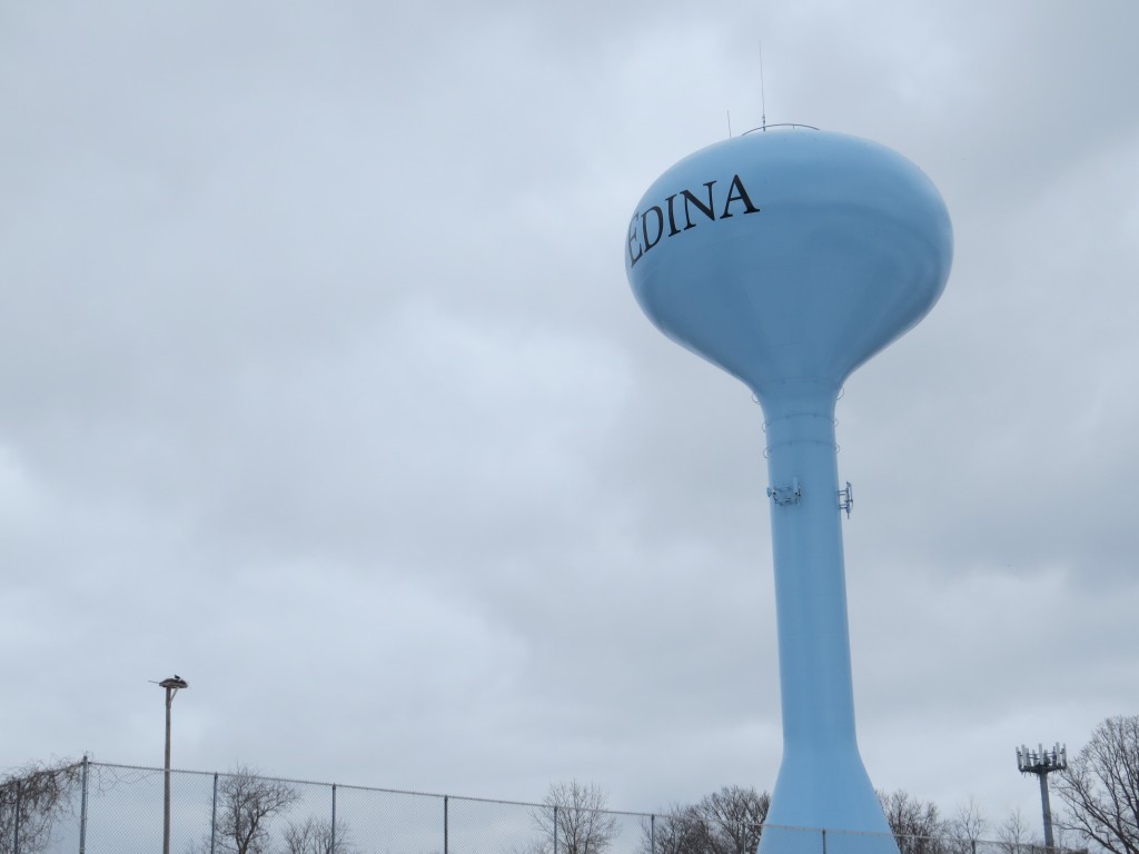 Osprey with Edina Water Tower