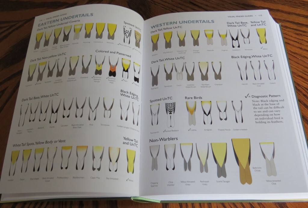 Undertail Visual Finders - The Warbler Guide