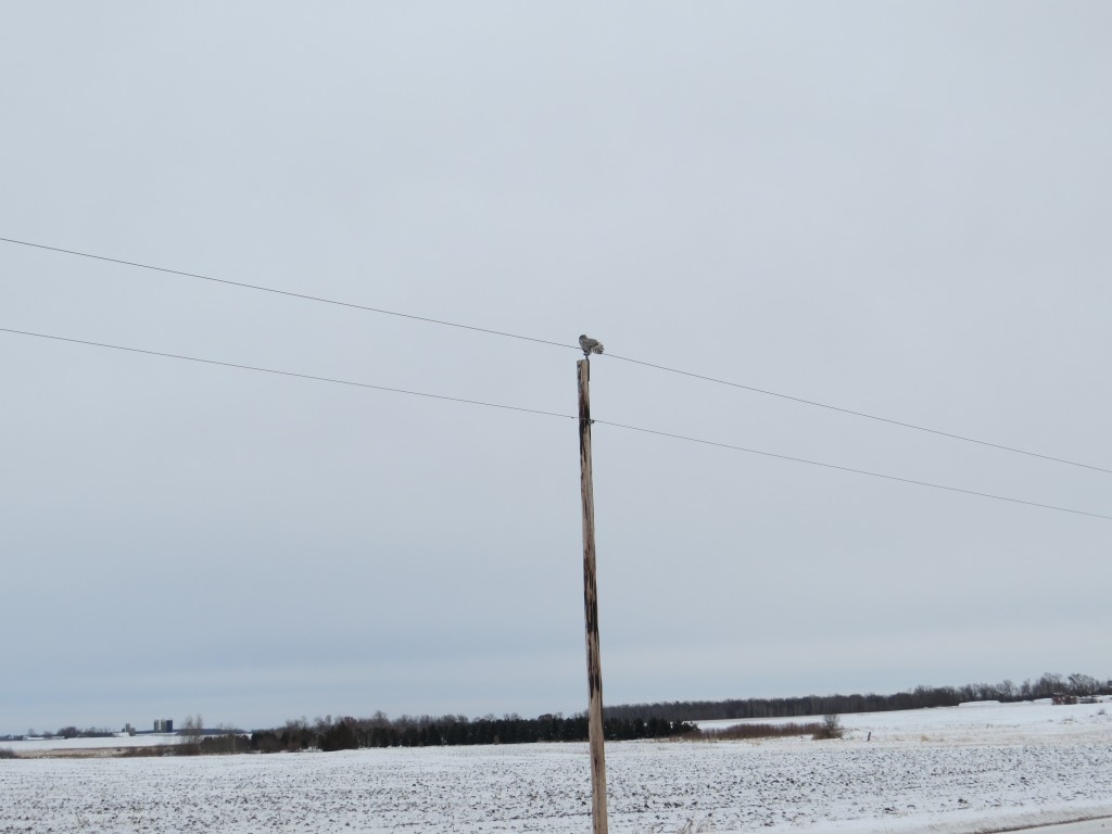 Benton Co. Rd. 1 just north of Co. Rd. 29 or about a mile north of Sauk Rapids High School