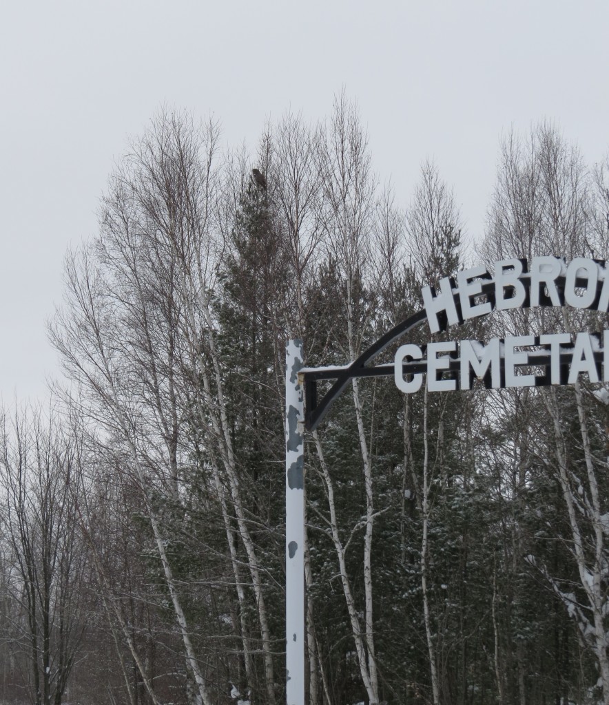 Great Gray Owl No. 3 in Hebron Cemetery