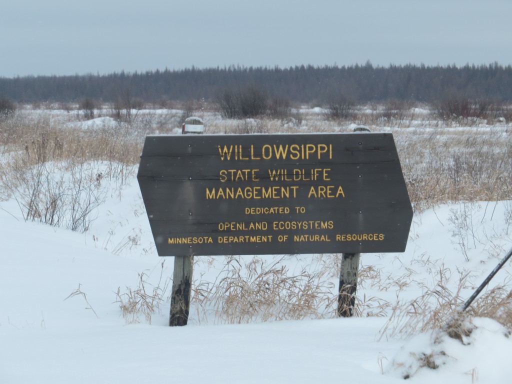 Willowsippi Wildlife Management Area