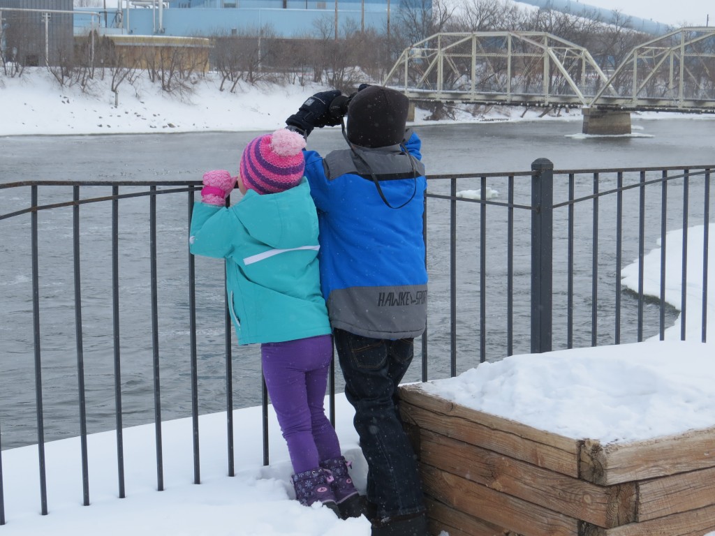 Evan and Marin looking through the Common Goldeneyes for the Long-tailed Duck