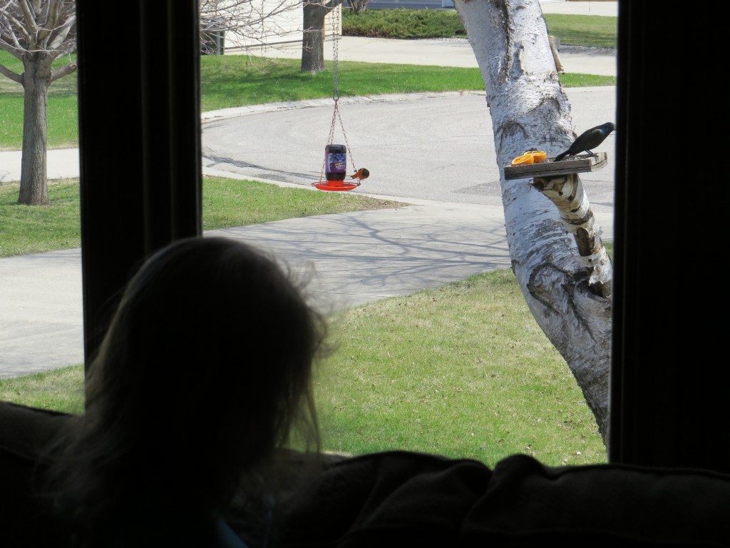 Watching feeder birds is fun for the whole family.