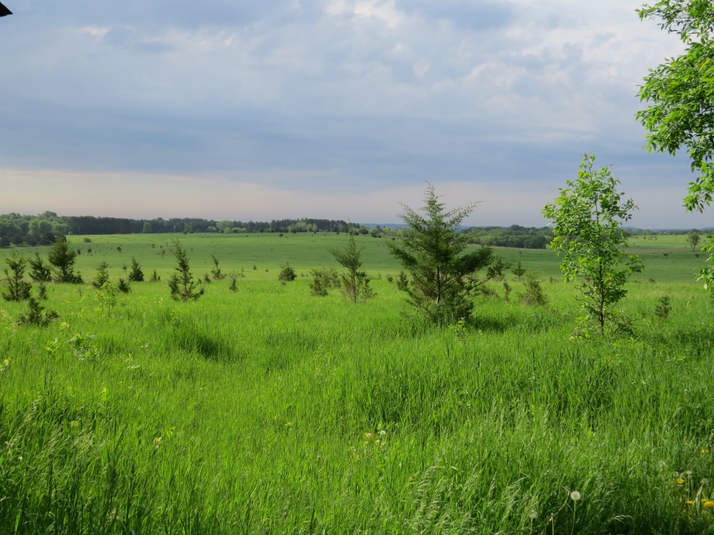 North Prairie Loop - Afton State Park