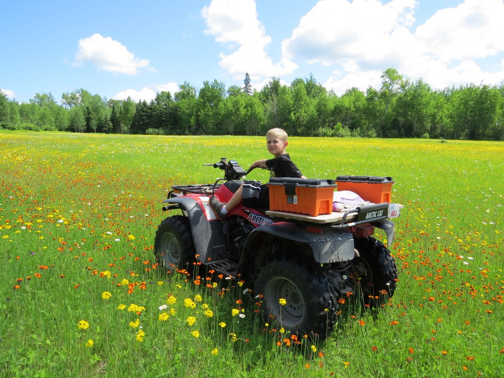 Evan 4-wheeler