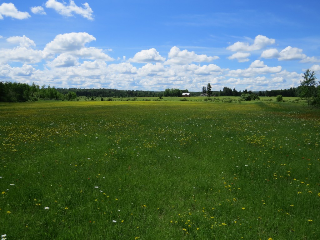 The parents' 80-acre spread