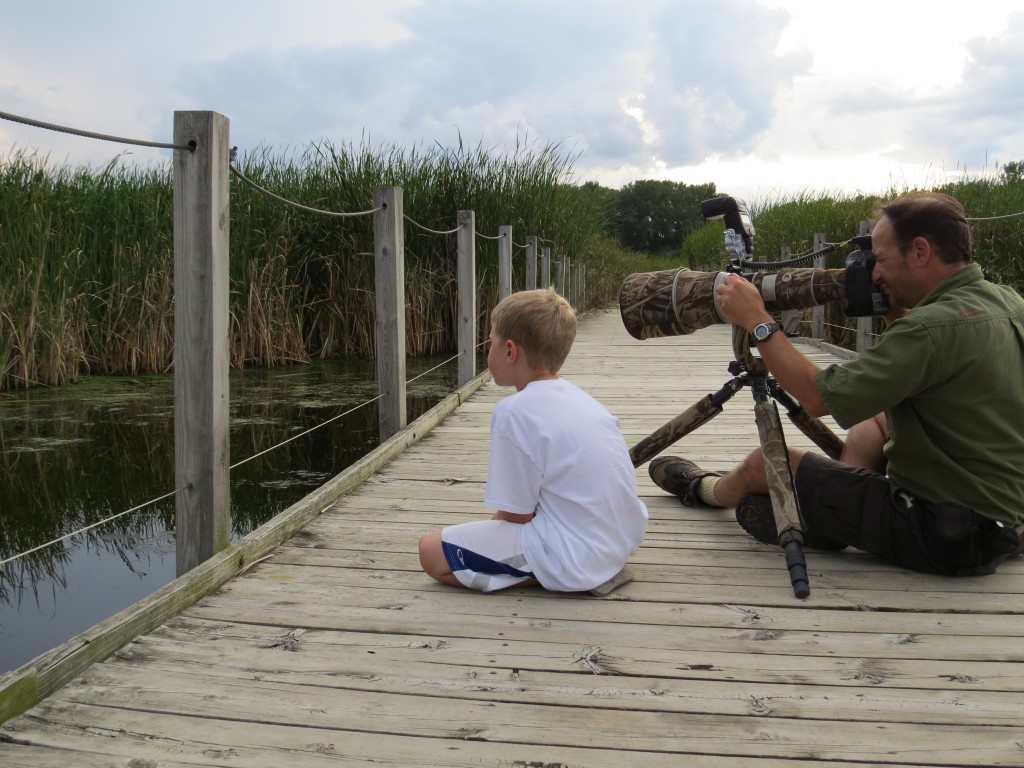 Evan watching a Least Bittern with Stan Tekiela.