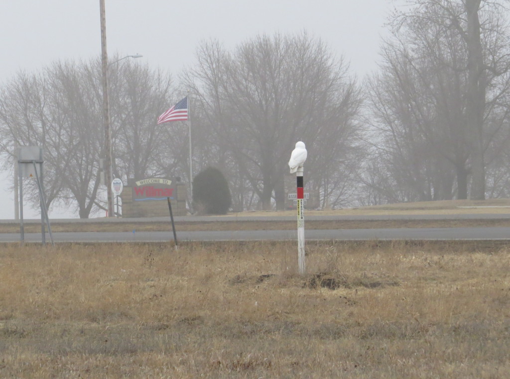 Willmar Snowy Owl sign