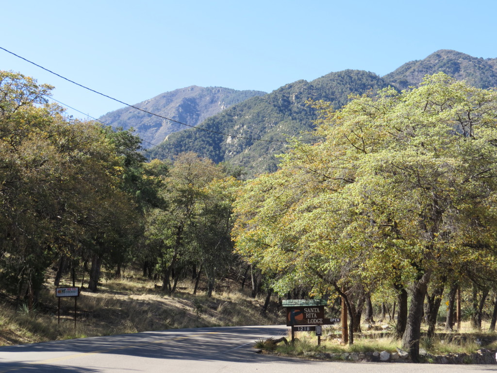 Santa Rita Lodge Madera Canyon