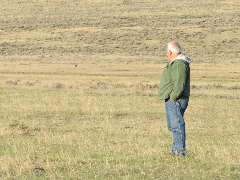 Dad Sage-Grouse