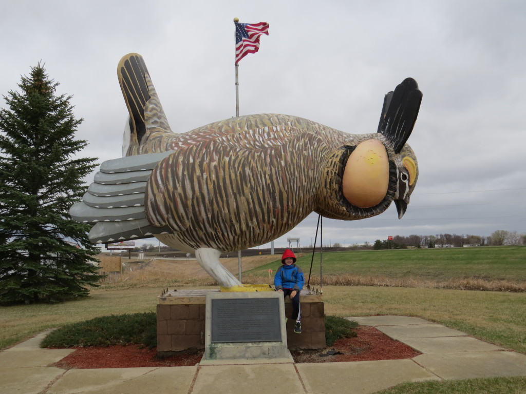 Evan Greater Prairie Chicken