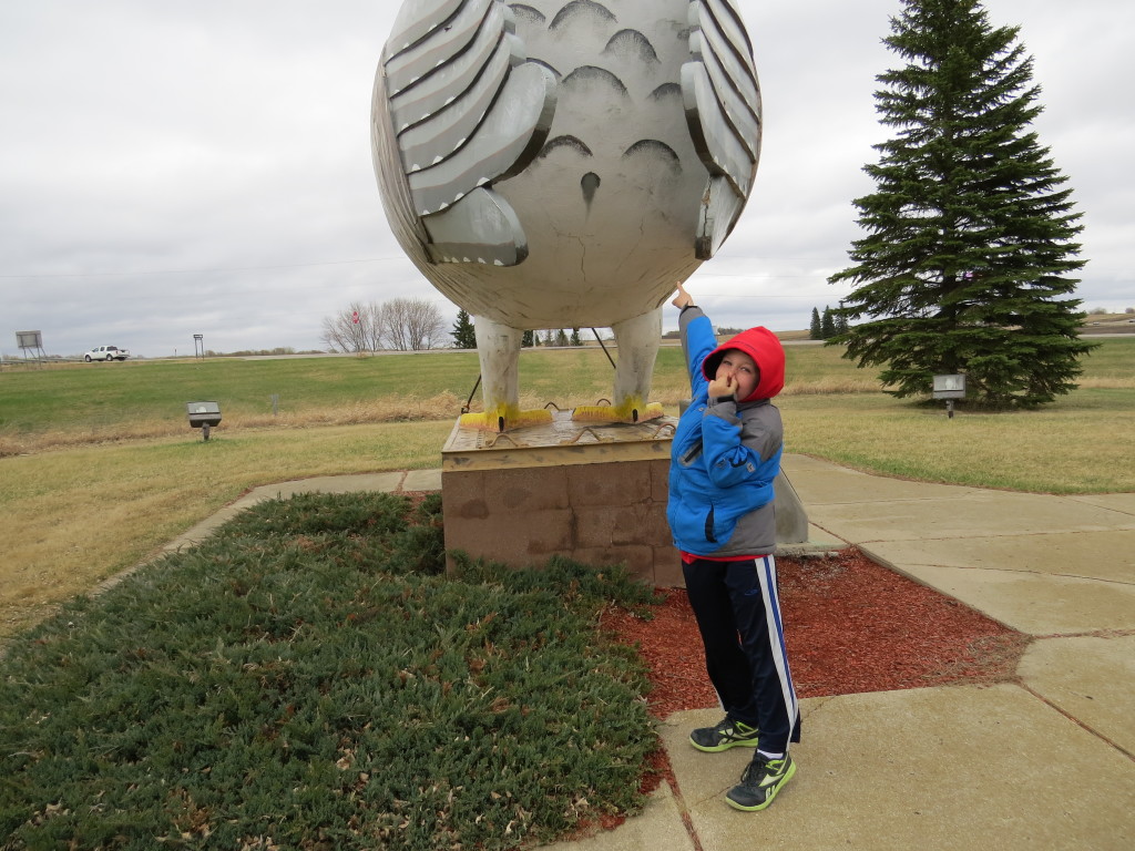 Evan Greater Prairie Chicken