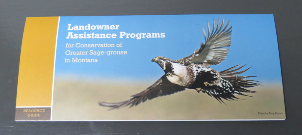 Sage Grouse pamphlet