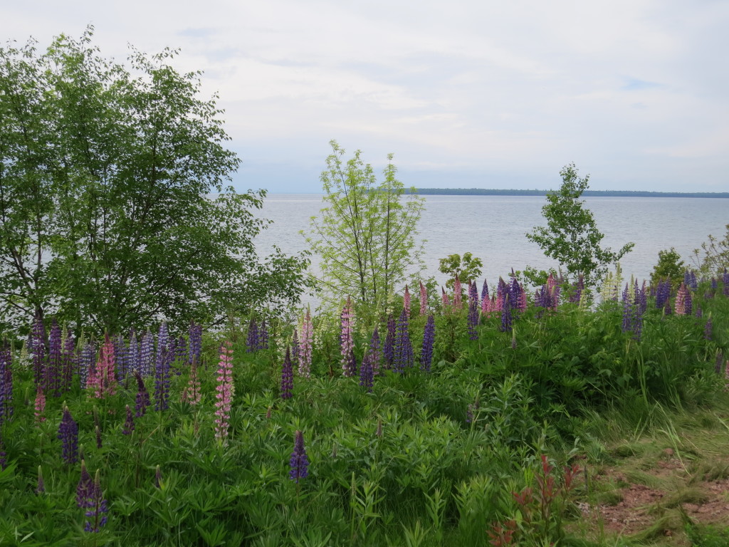 Madeline Island