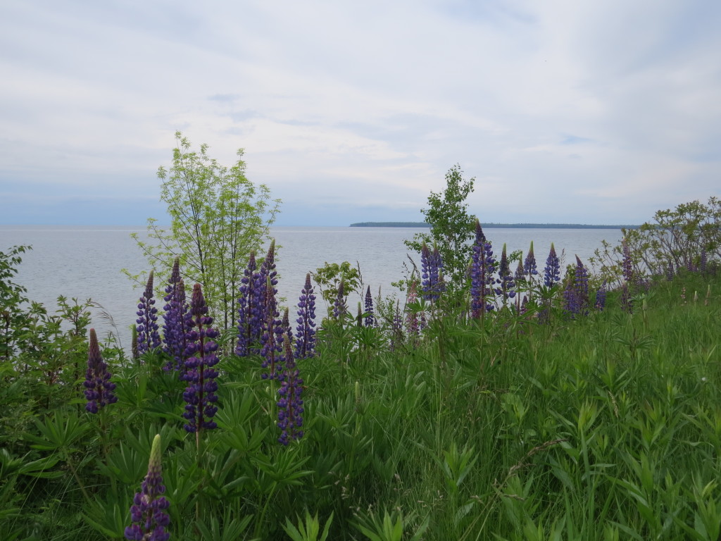 Madeline Island