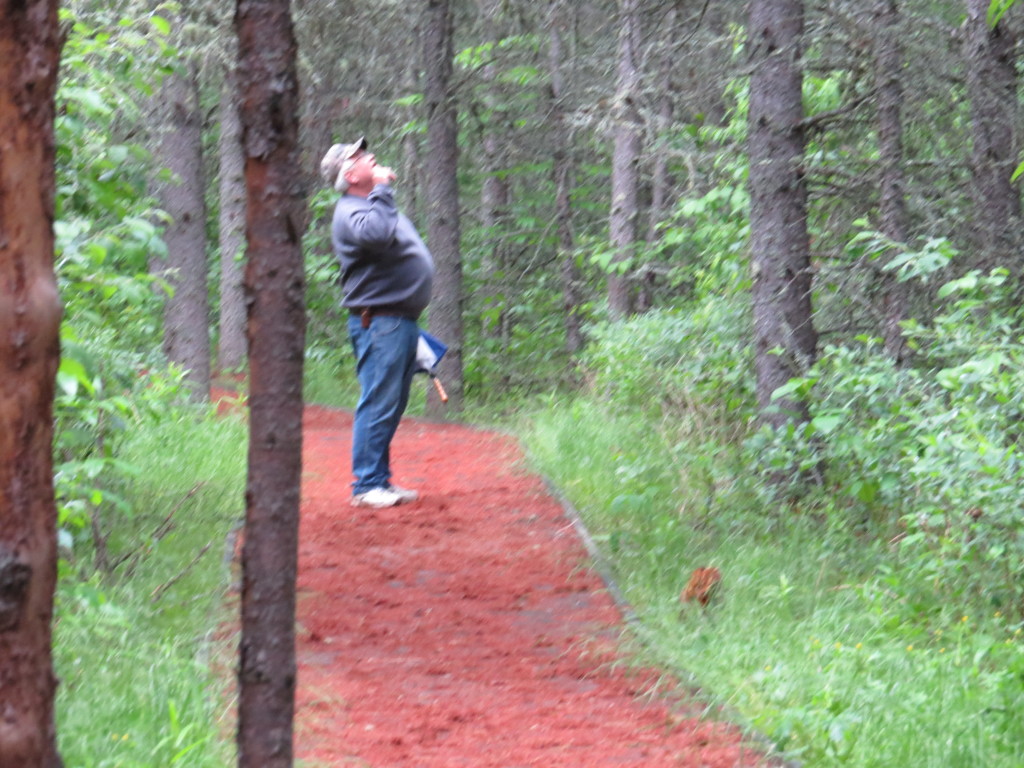 Dad Bog Walk