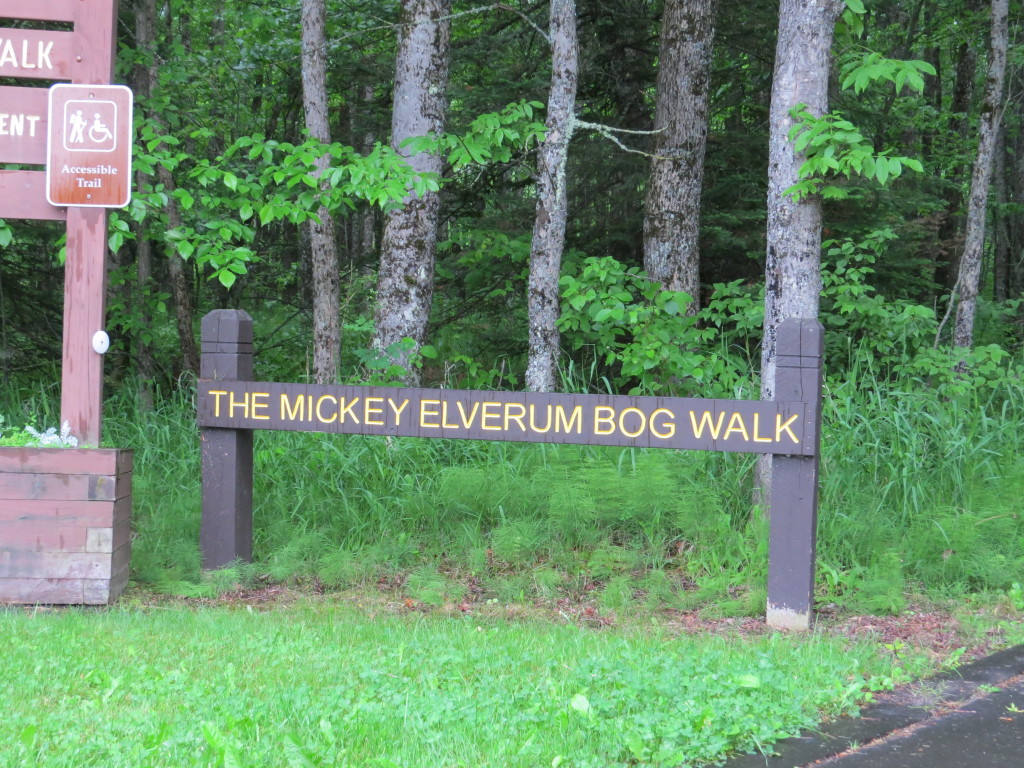Mickey Elverum Bog Walk