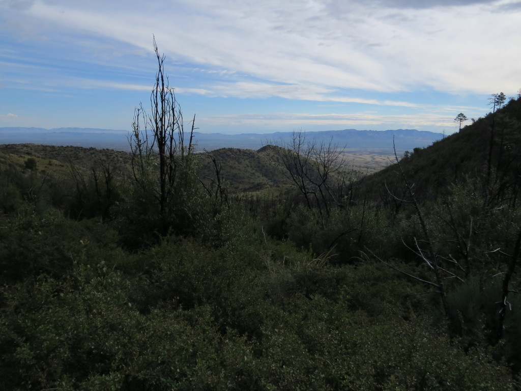 Hunter Canyon