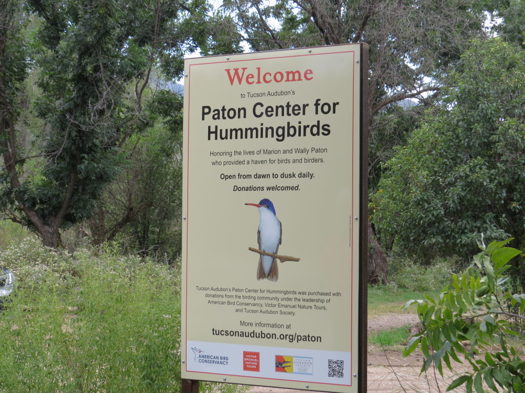 Paton Center for Hummingbirds