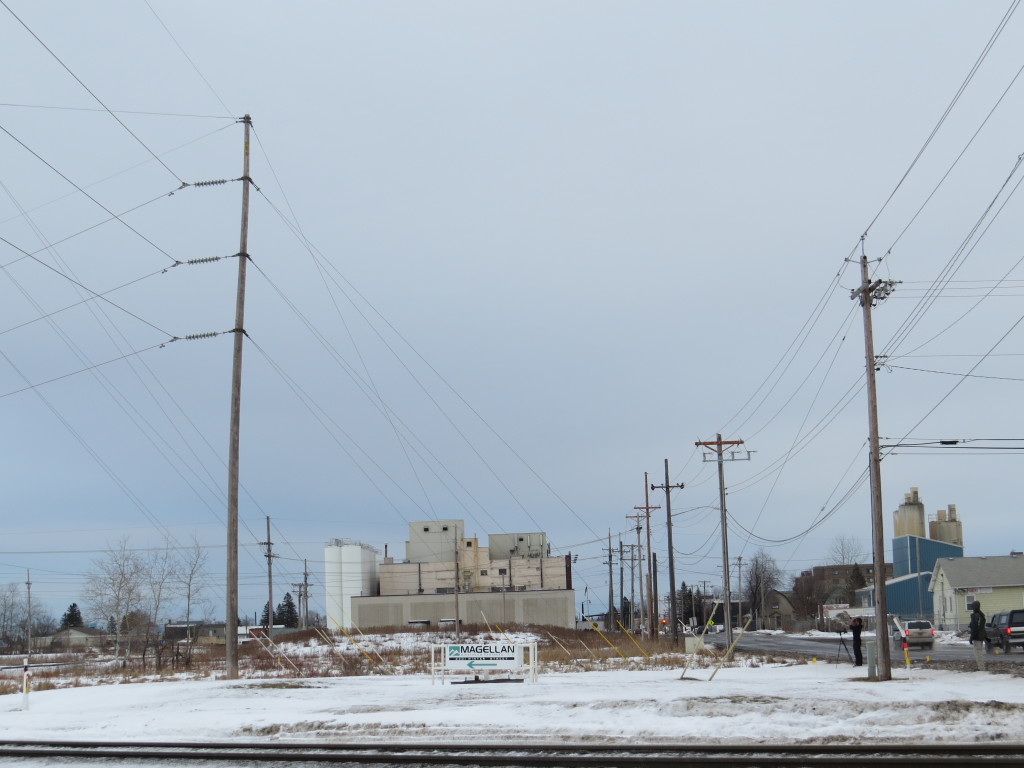 Snowy Owl Superior