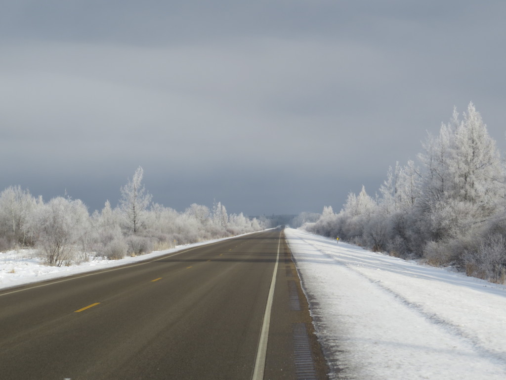 hoarfrost MN 310